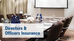 what Is Directors and Officers Insurance Coverage and what does it cover?
