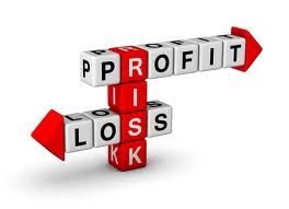 Property & Casualty (P&C) Insurer Results