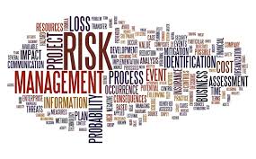 Risk Management For Your Business