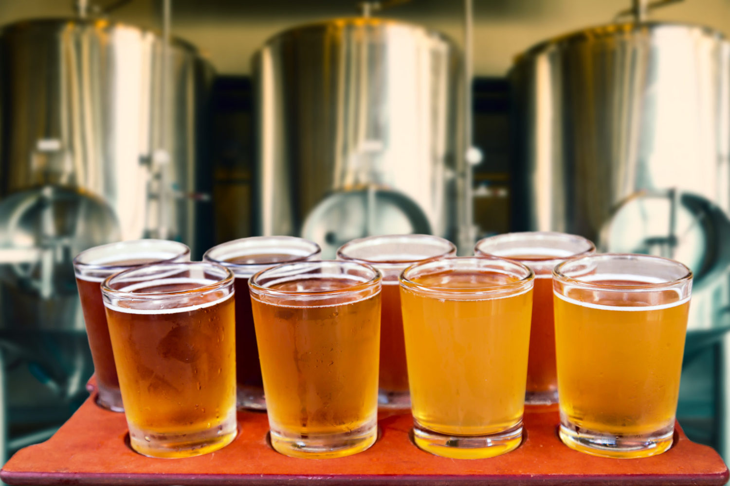 craft brewery insurance