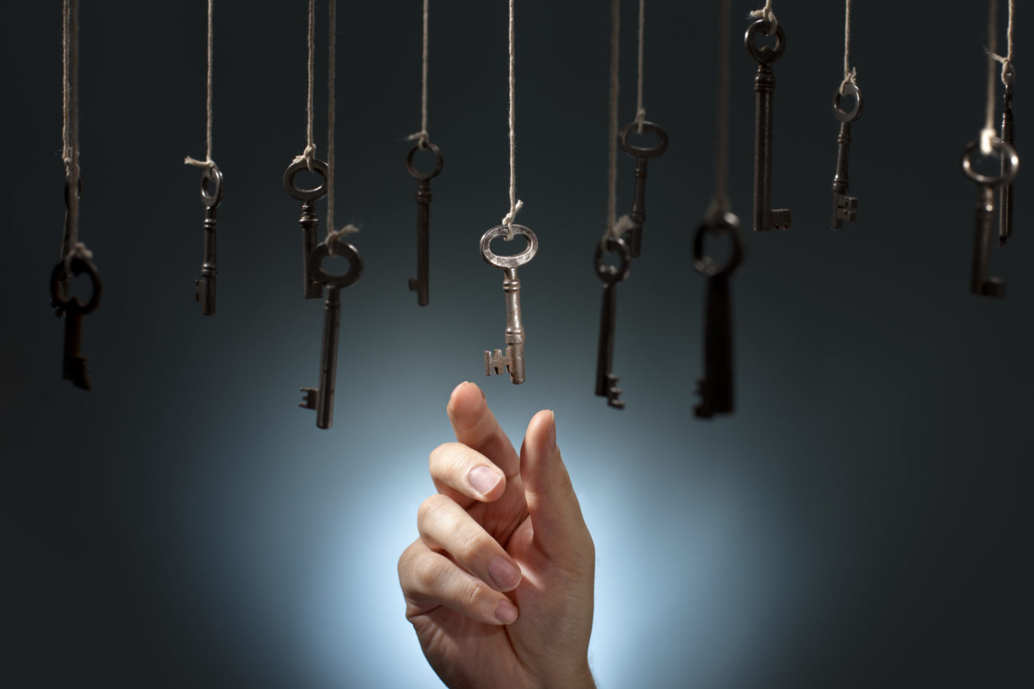 Questions To Help Your Organization Select An Insurance Broker