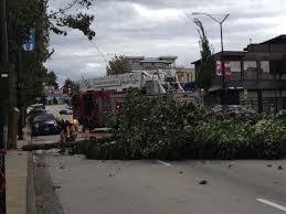 windstorm damage