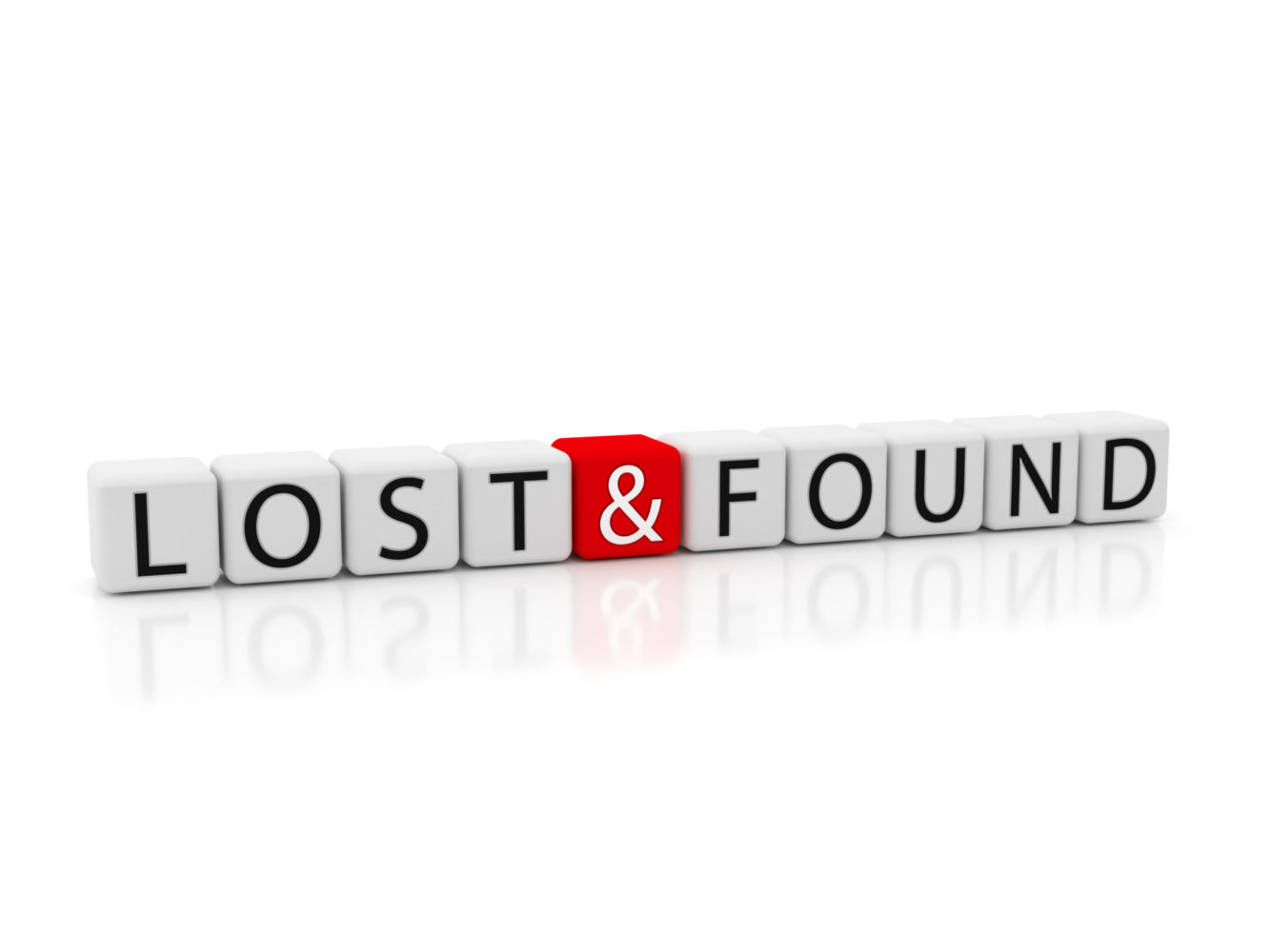 Lost Document Bond