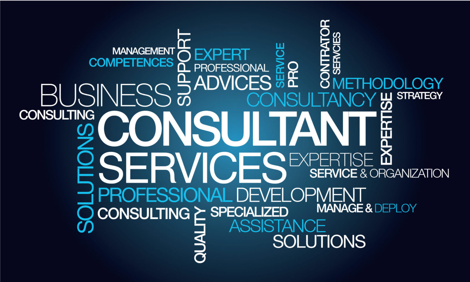 Business Consultant