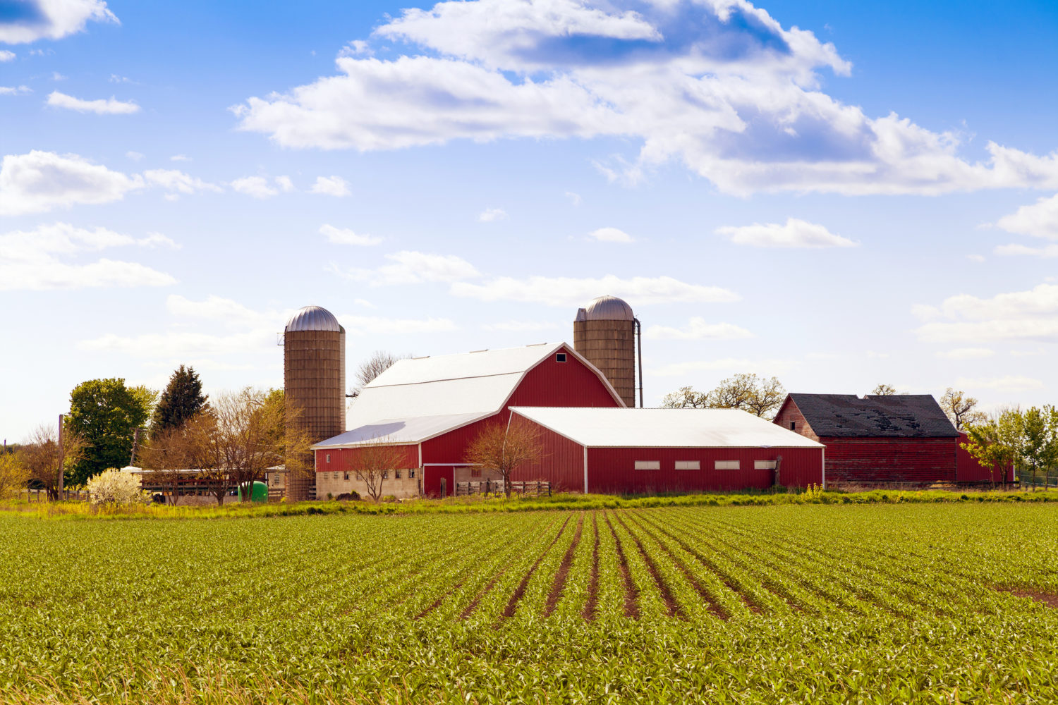 Canadian Farm Insurance Coverage Overview