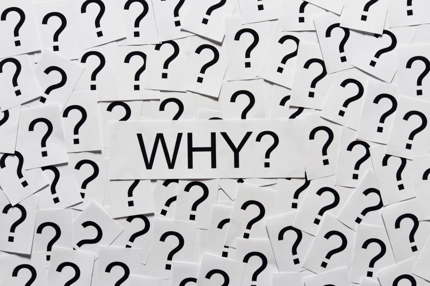 Why Is My Insurance Company Not Renewing My Insurance? - ALIGNED Insurance brokers