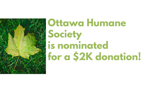 Ottawa Humane Society - ALIGNED Insurance Brokers
