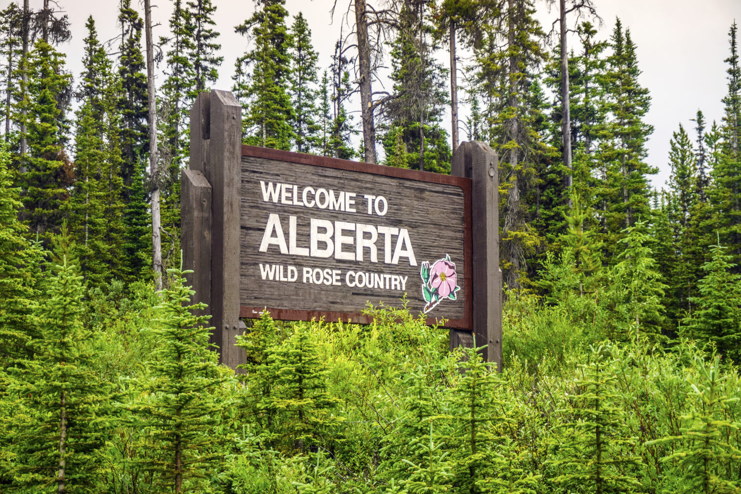 Commercial Insurance in Alberta - ALIGNED Insurance Broker