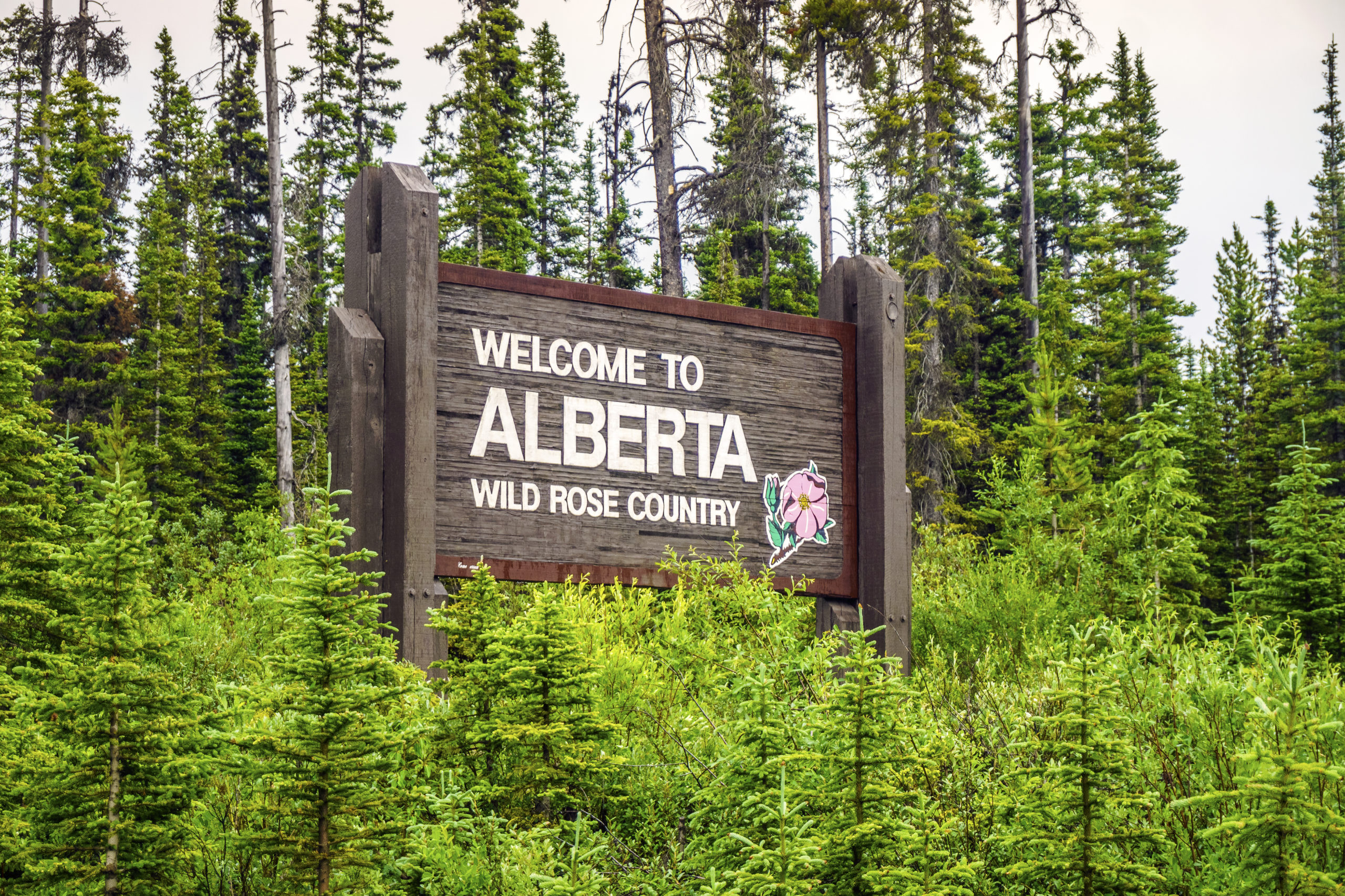 Commercial Insurance Alberta