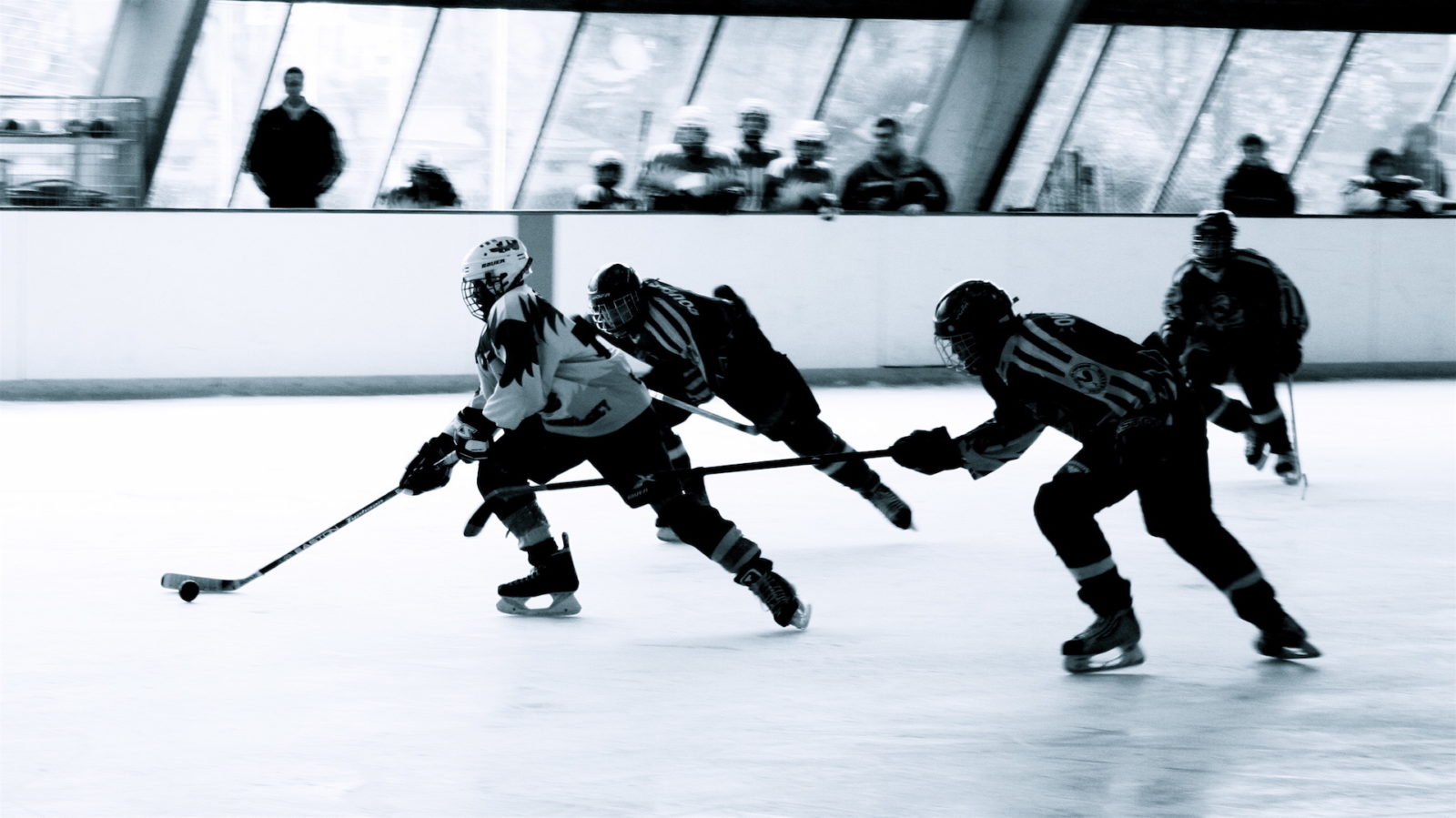 Buying Insurance For Sports Facilities In Canada - ALIGNED Insurance Brokers