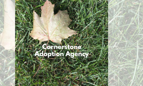 Cornerstone Adoption Agency Is Nominated For An ALIGNED Donation