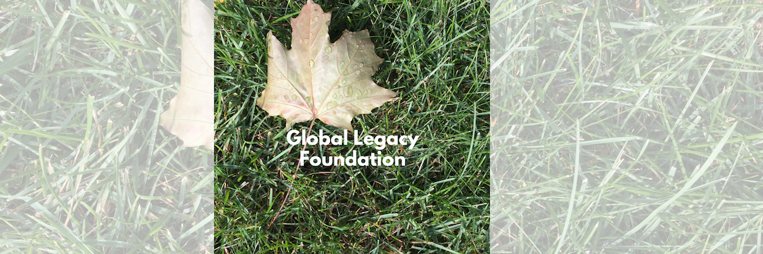 Global Legacy Foundation Is Nominated For An ALIGNED Donation