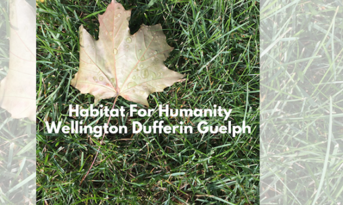 Habitat For Humanity Wellington Dufferin Guelph Is Nominated For An ALIGNED Donation