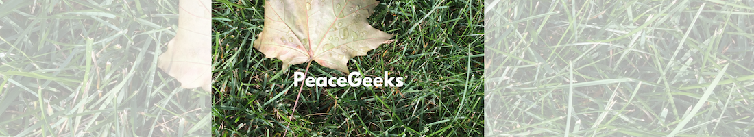 PeaceGeeks Is Nominated For An ALIGNED Donation