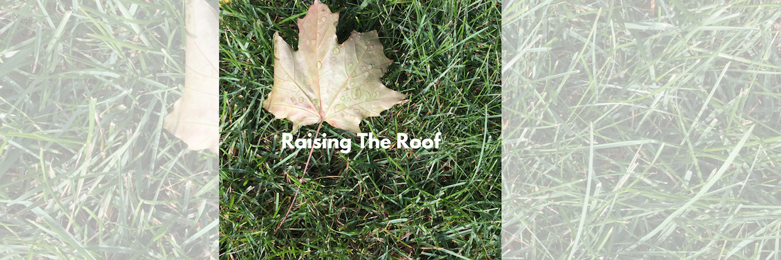Raising The Roof Is Nominated For An ALIGNED Donation