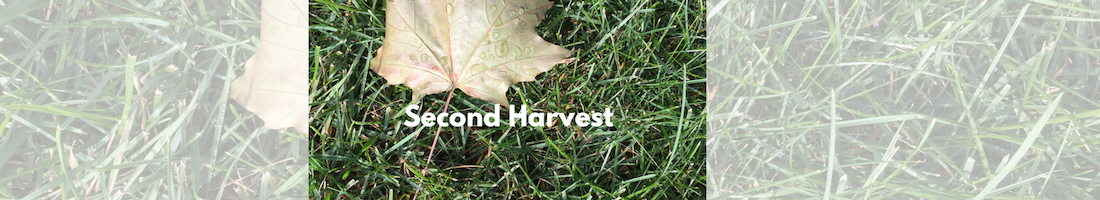 Second Harvest Is Nominated For An ALIGNED Donation