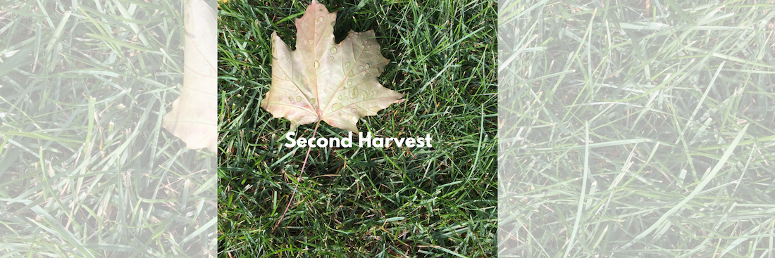 Second Harvest Is Nominated For An ALIGNED Donation