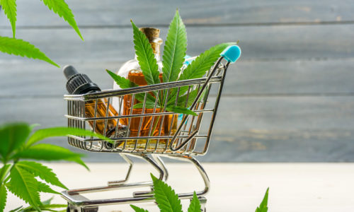 How To Buy Insurance For Cannabis Retailers In Canada