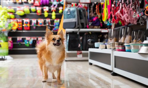 Insurance For Pet Products In Canada