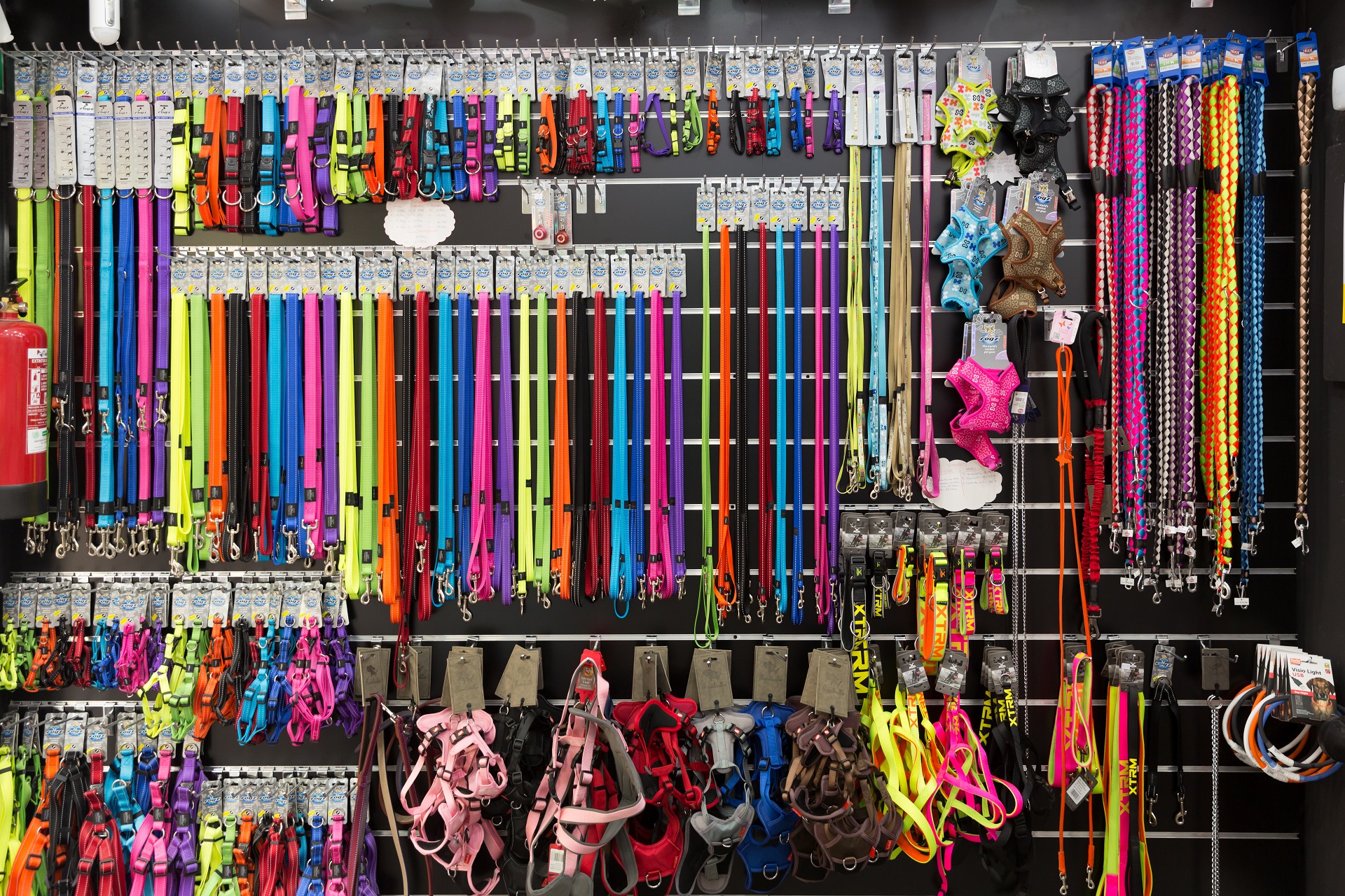 Pet Product Liability Insurance In Canada Insurance Broker