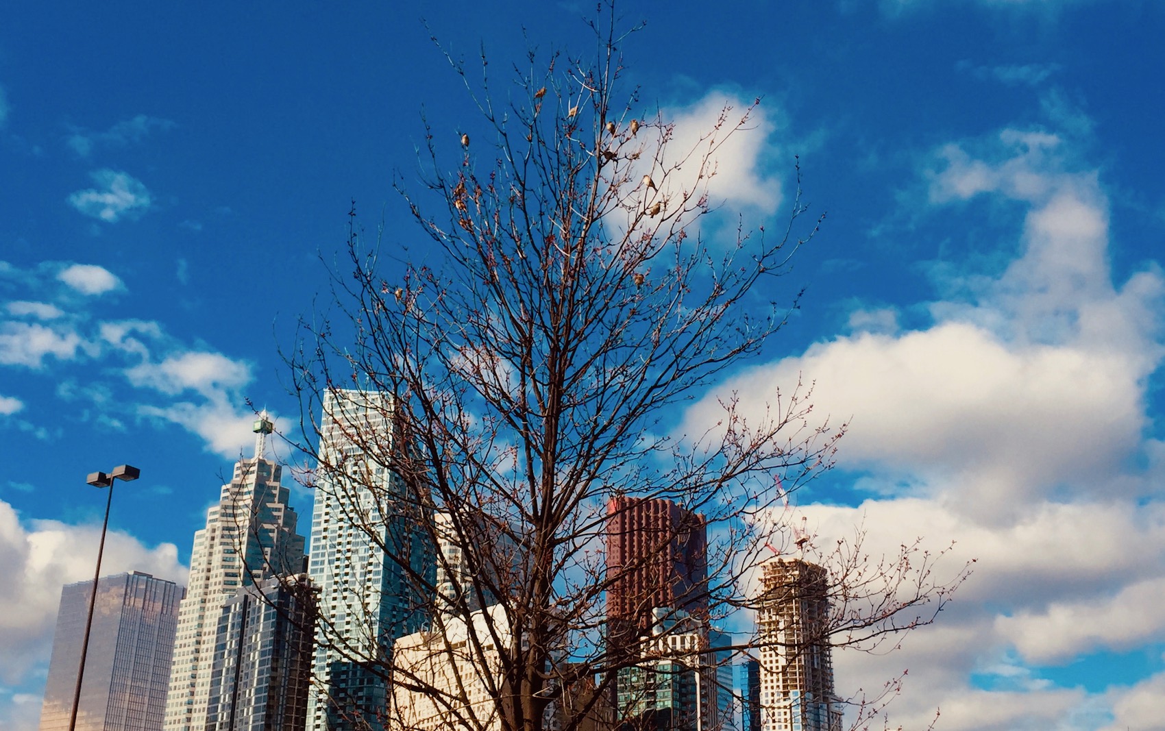 Business Insurance Quote Ontario - ALIGNED Insurance