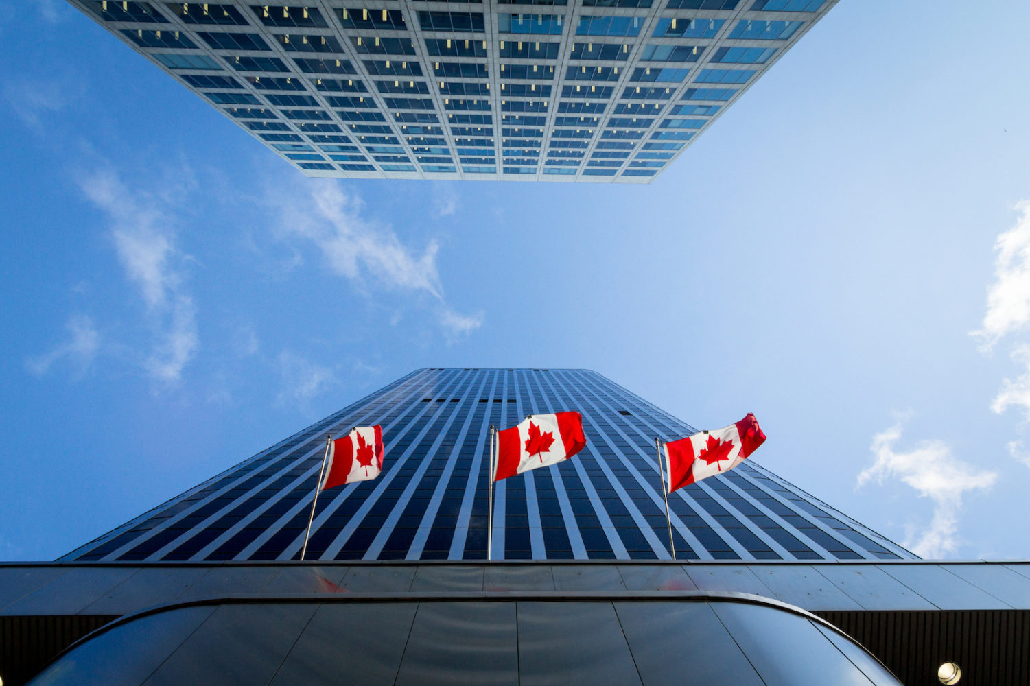 Insurance Companies In Canada - ALIGNED Insurance Brokers