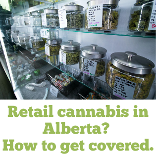 How To Get Cannabis Retailer Business Insurance Alberta - ALIGNED Insurance brokers