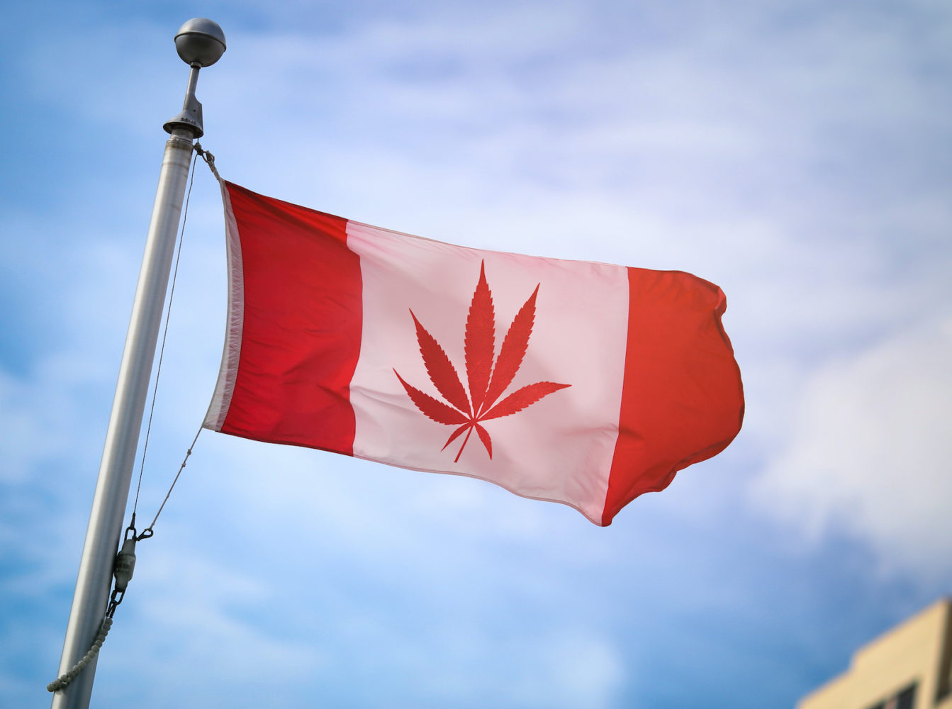 How To Insure A Cannabis Tourism Business In Canada - ALIGNED Insurance brokers