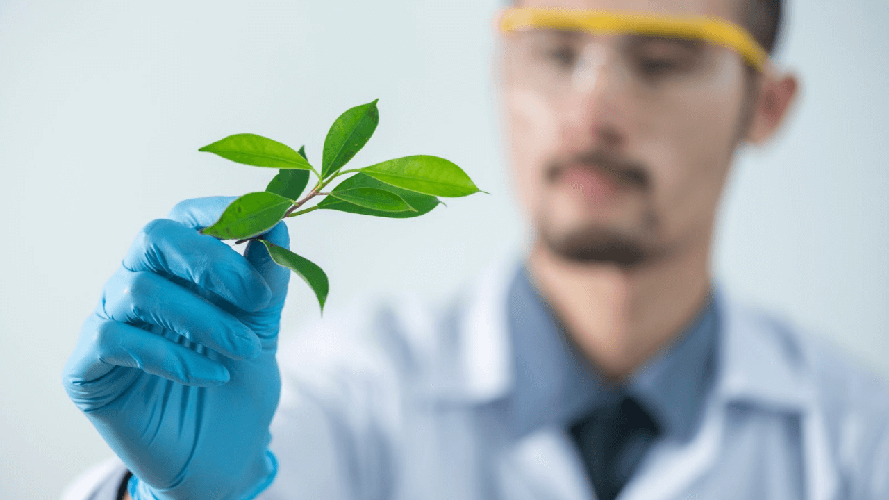 Organic Health Products Liability Insurance