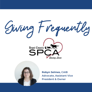 AM 52 - Giving Frequently our donation to Brant County SPCA - ALIGNED Insurance brokers