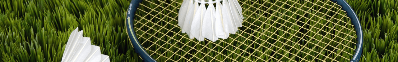 Badminton Club Insurance