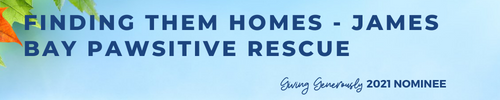 FINDING THEM HOMES - JAMES BAY PAWSITIVE RESCUE ALIGNED - Giving Generously 2021 - WP