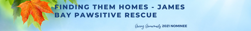 FINDING THEM HOMES - JAMES BAY PAWSITIVE RESCUE ALIGNED - Giving Generously 2021 - WP