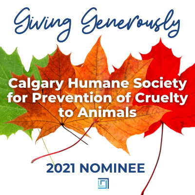 Calgary Humane Society for Prevention of Cruelty to Animals CHARITY is nominated for 2021 Giving Generously donation - ALIGNED Insurance brokers