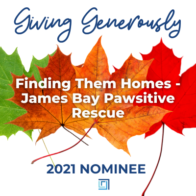 Finding Them Homes - James Bay Pawsitive Rescue CHARITY is nominated for 2021 Giving Generously donation - ALIGNED Insurance brokers