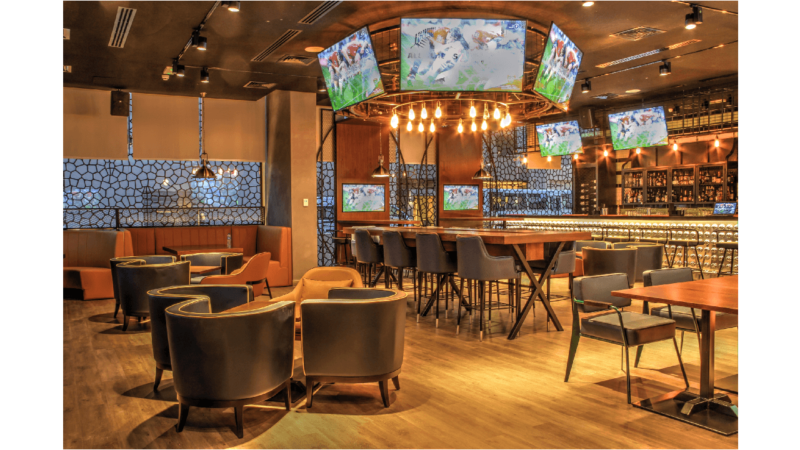 Sports Bar Insurance