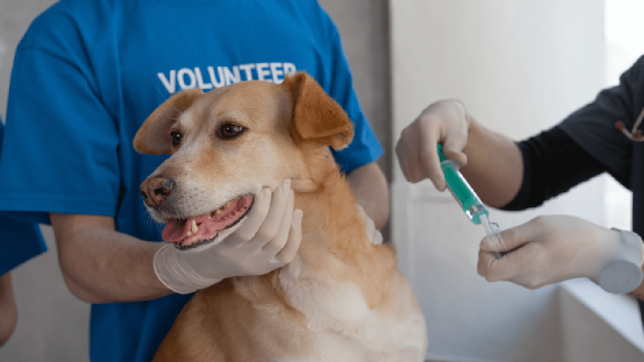 Insurance For Foundations ALIGNED